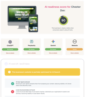 Example AI visibility audit report